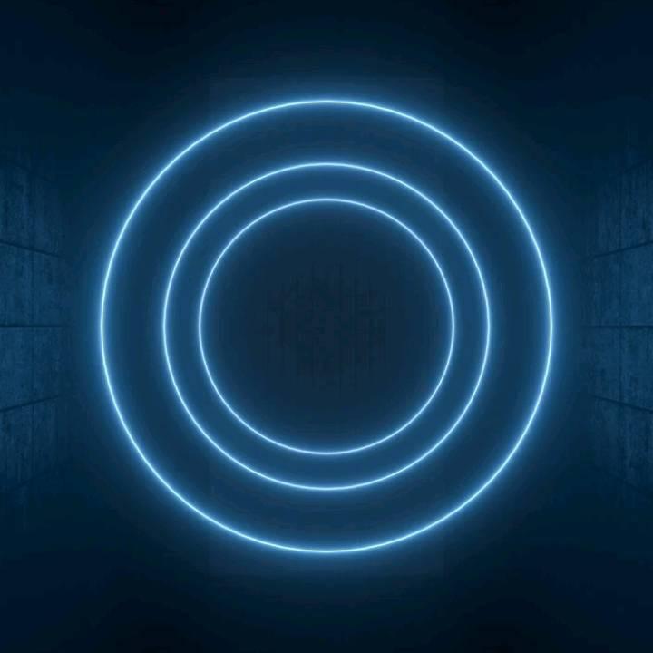 K9·咸鱼之王