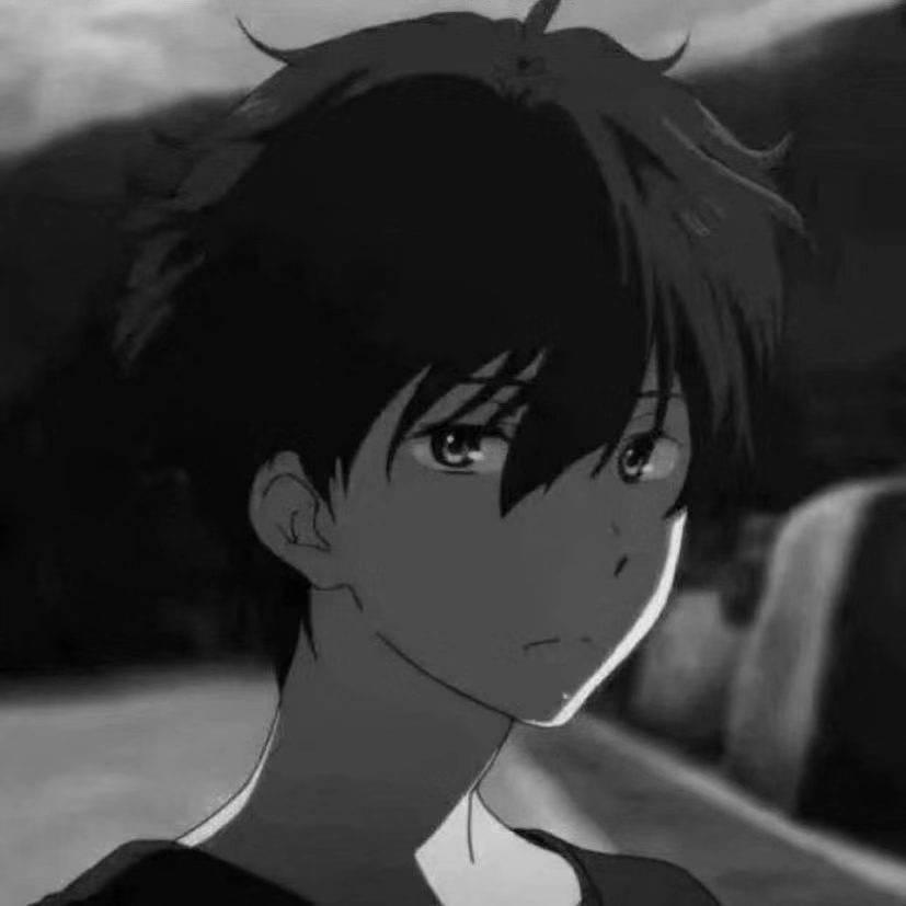YOLO（接单版）