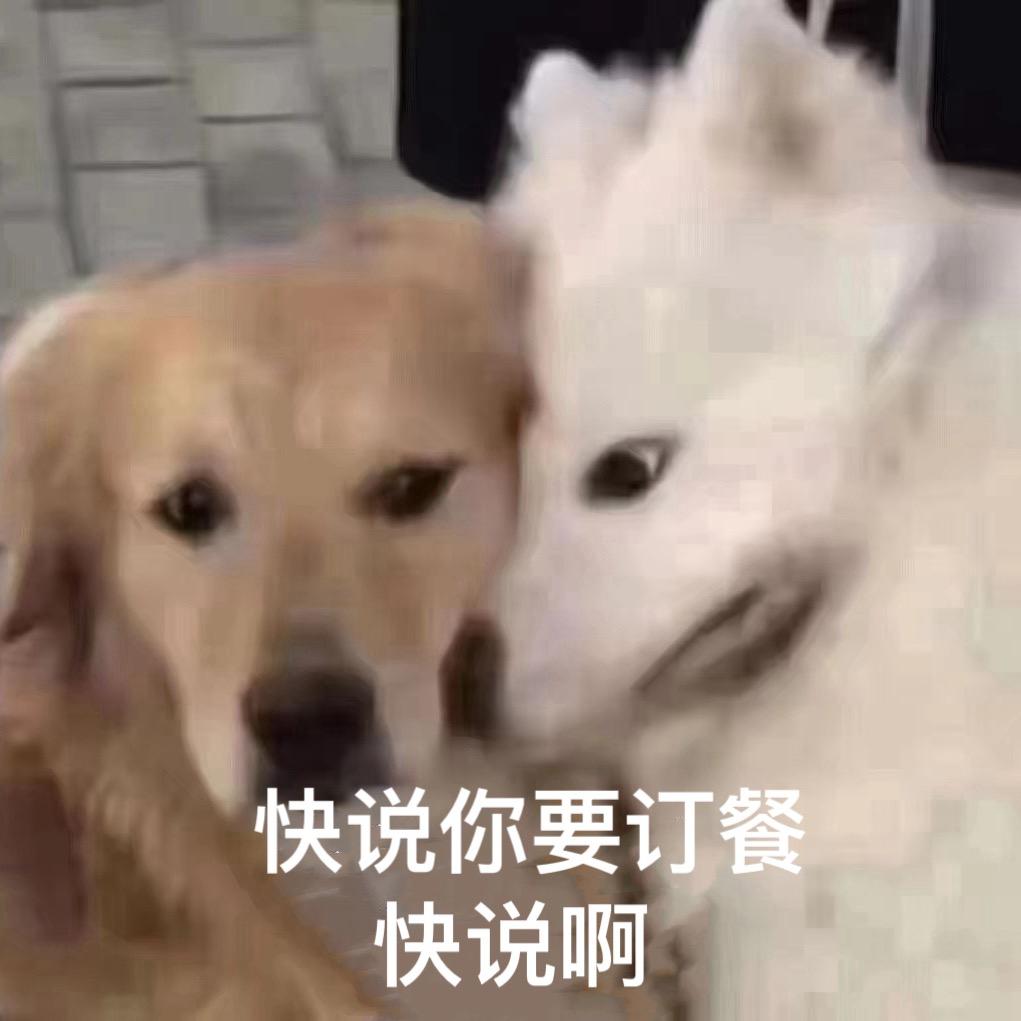 羊肉锅子羊肉面烧烤官方号