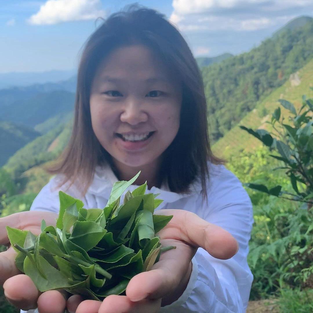 小瑶种有机黑茶