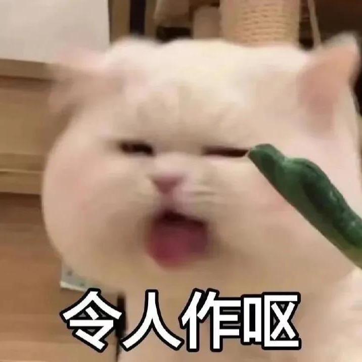 骂天骂地骂哈b