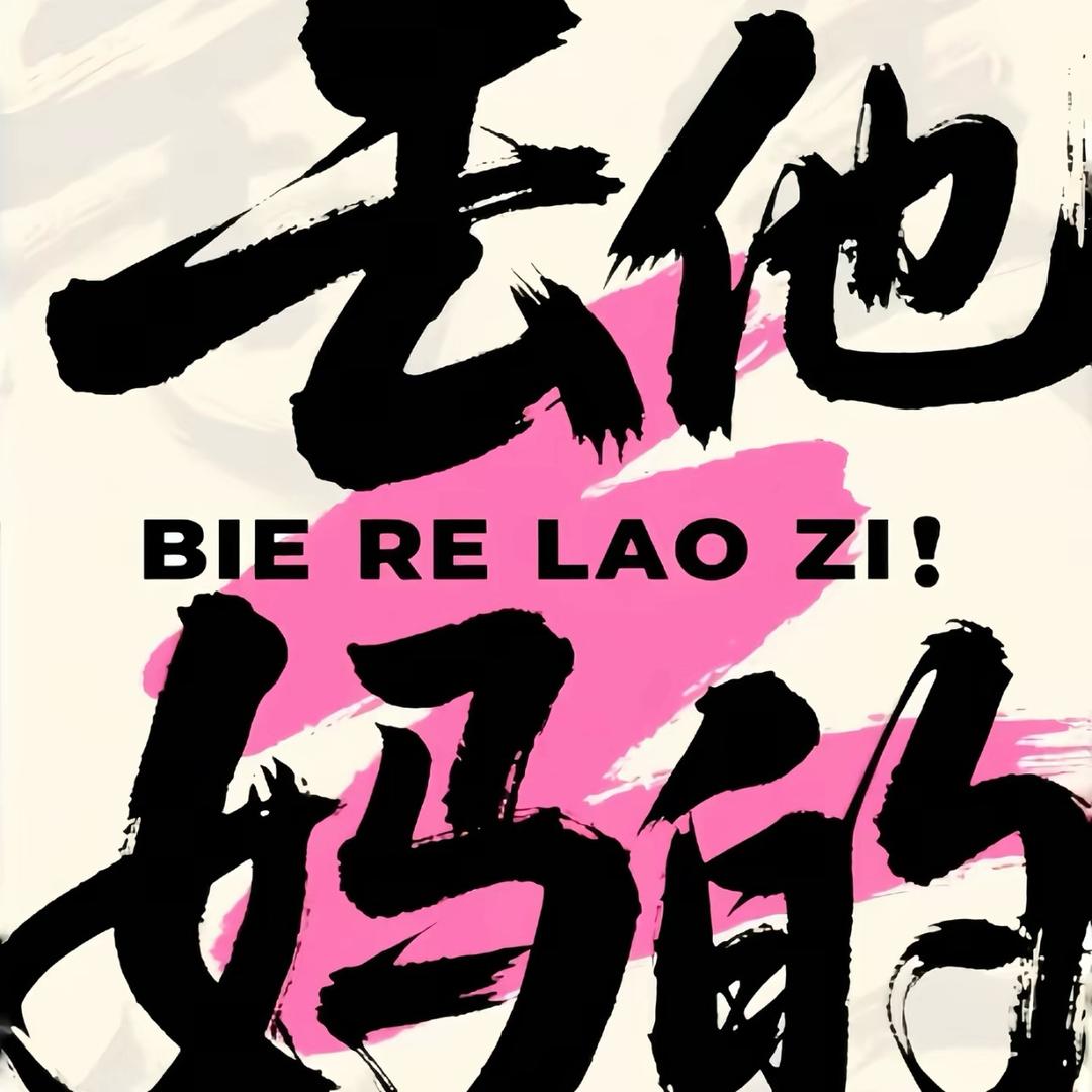 首席飞机大师