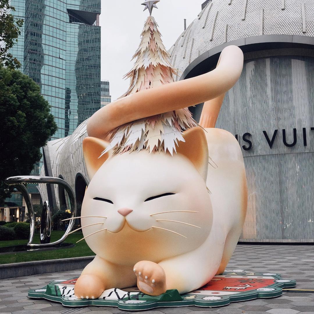 中泰喵爪财经