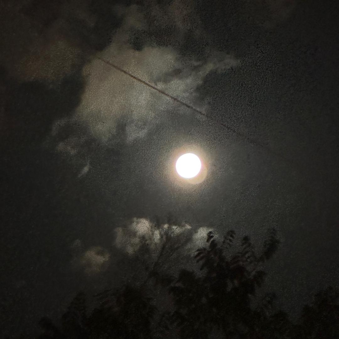 不经他人苦，莫劝他人善