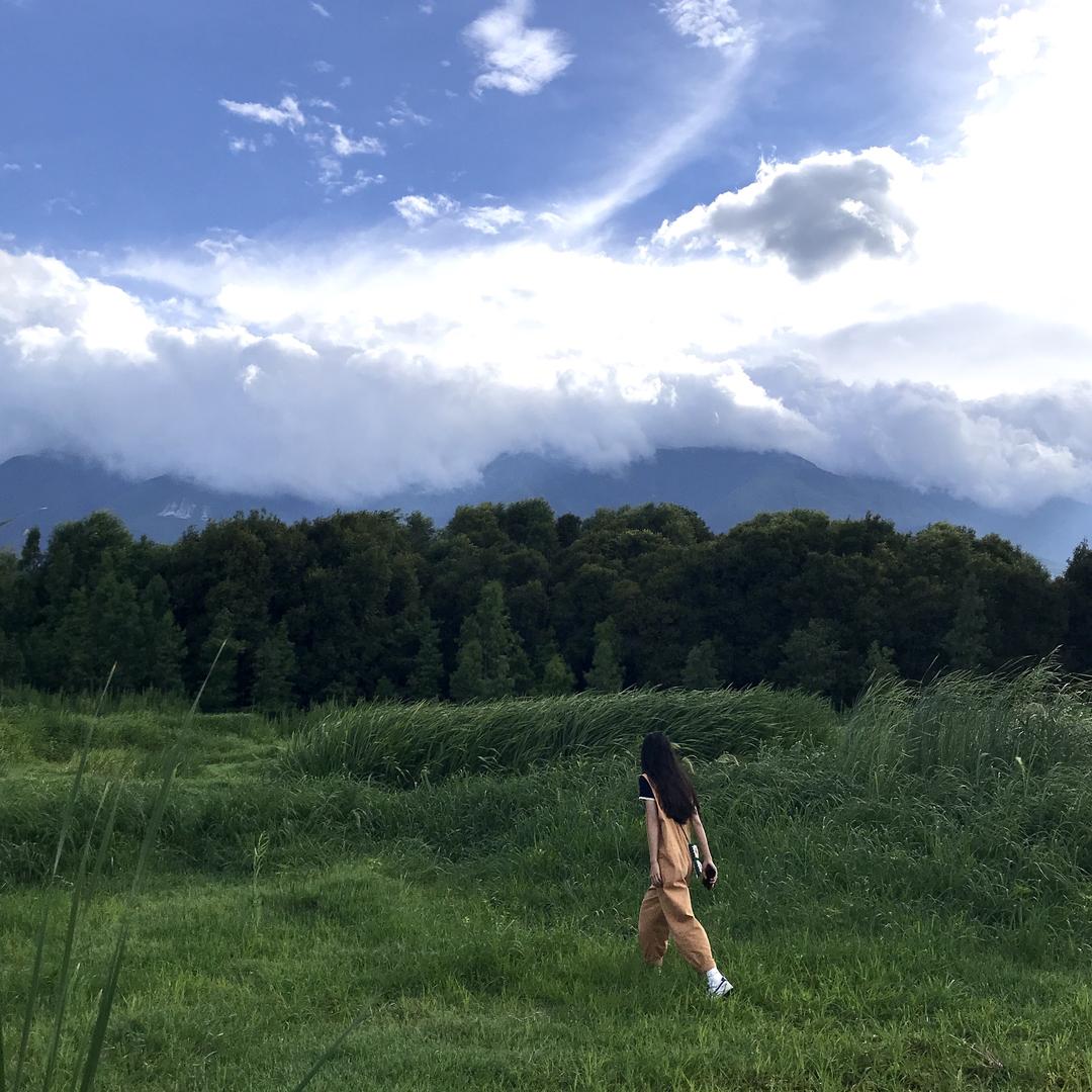 小树。