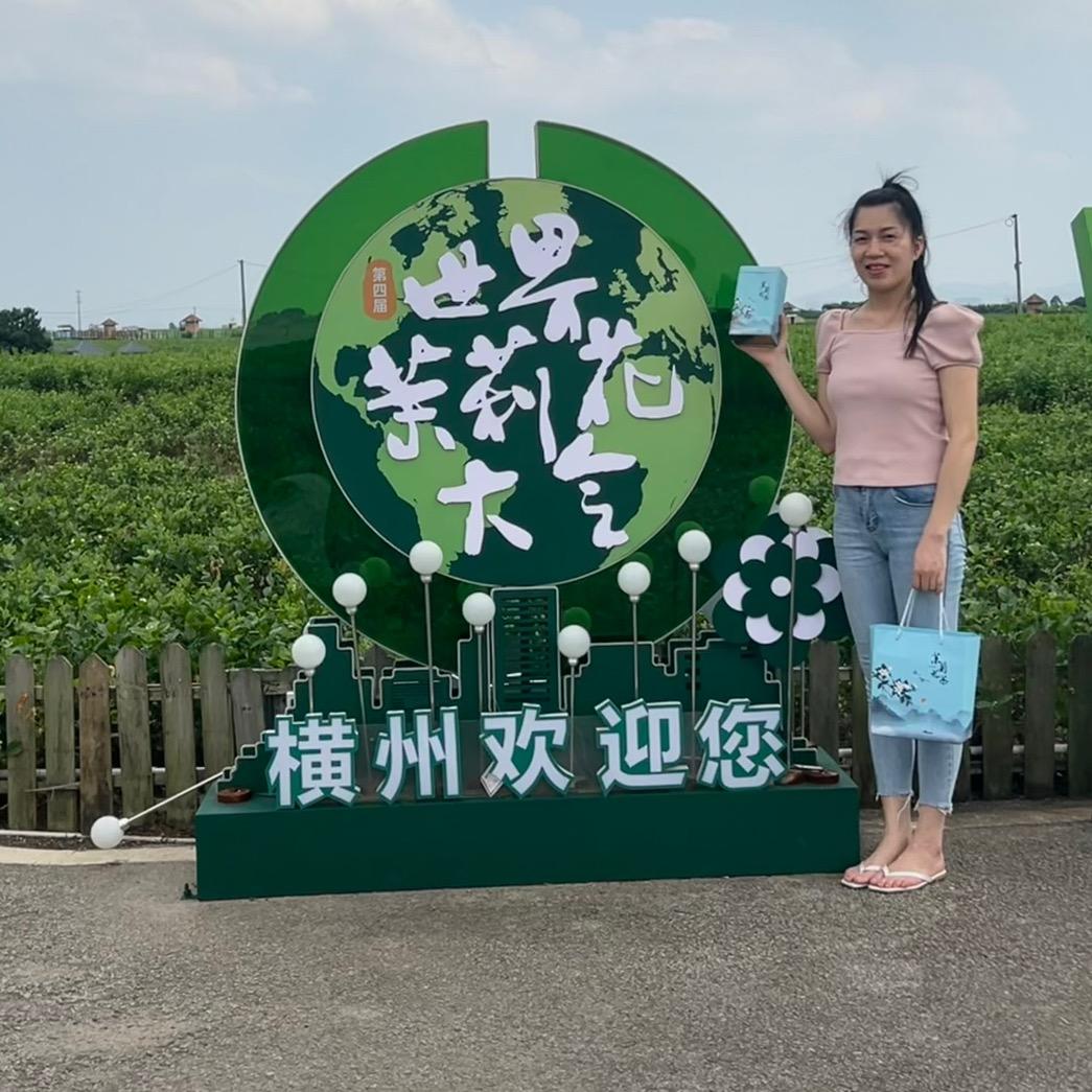 橫縣龙九茉莉花盆栽供应链