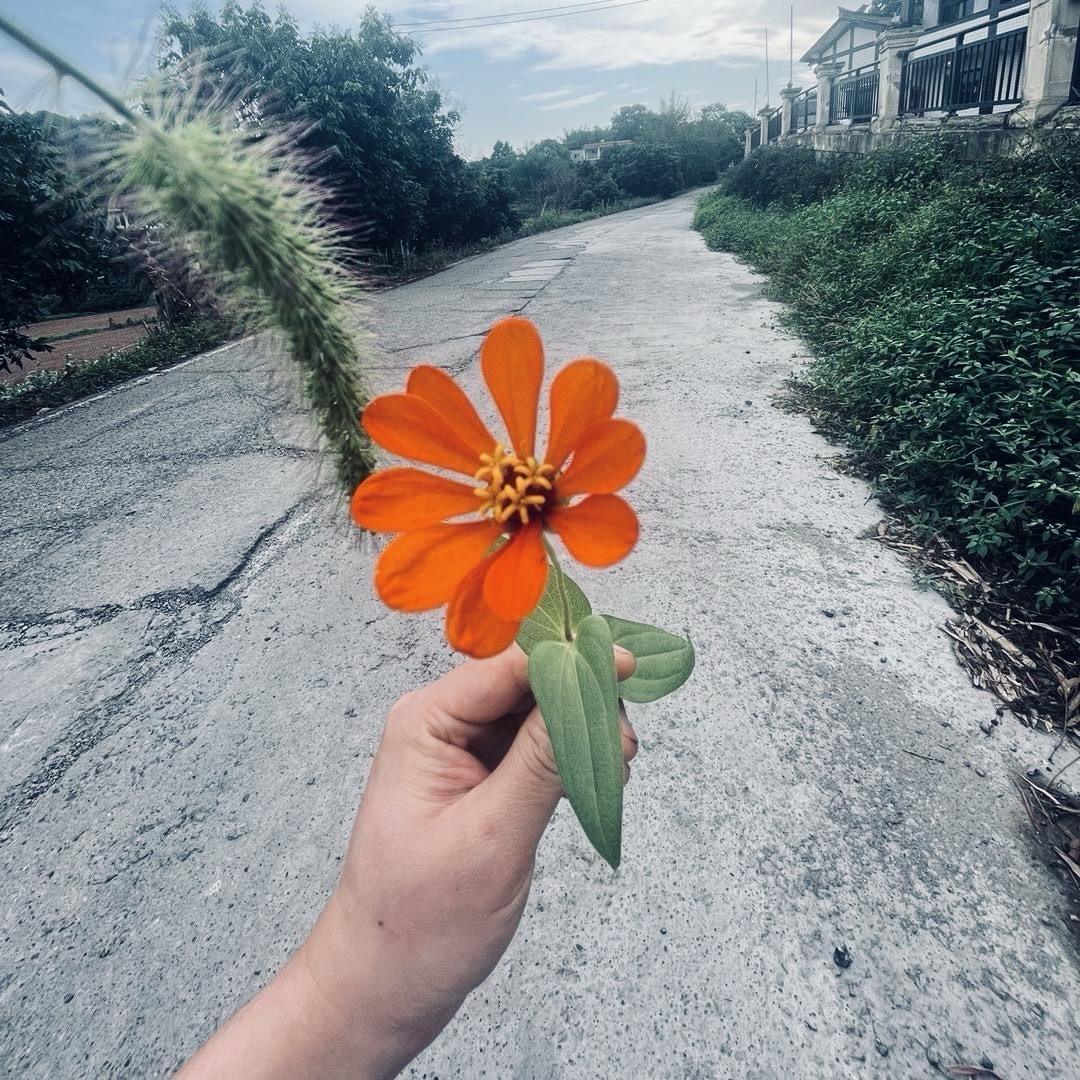 热爱的：徐某人
