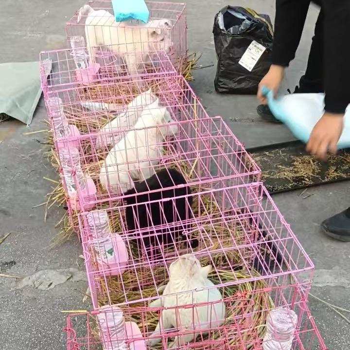 下司老猎人