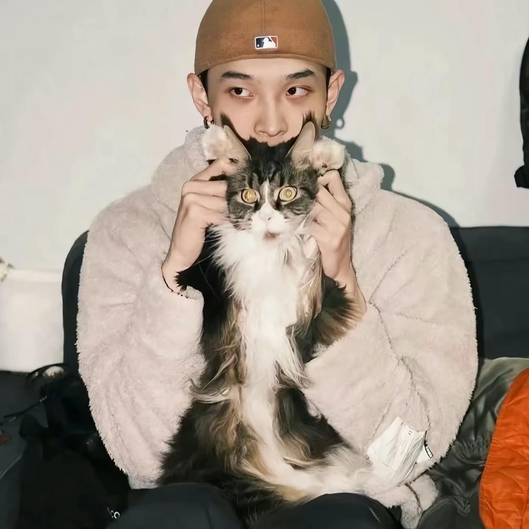 精致流浪汉（团队招人 订台私信