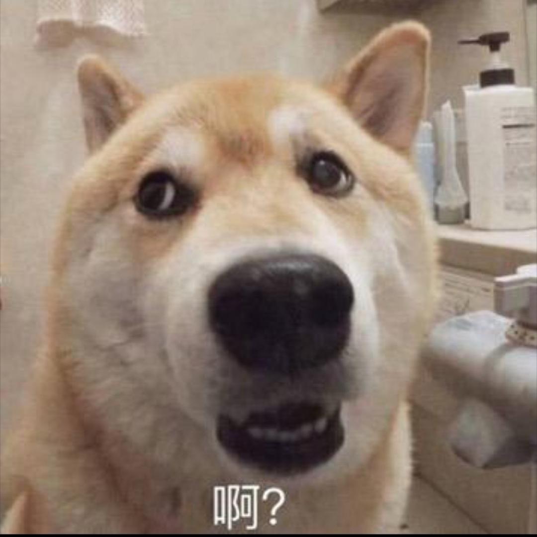 重生之我在南通当牛马