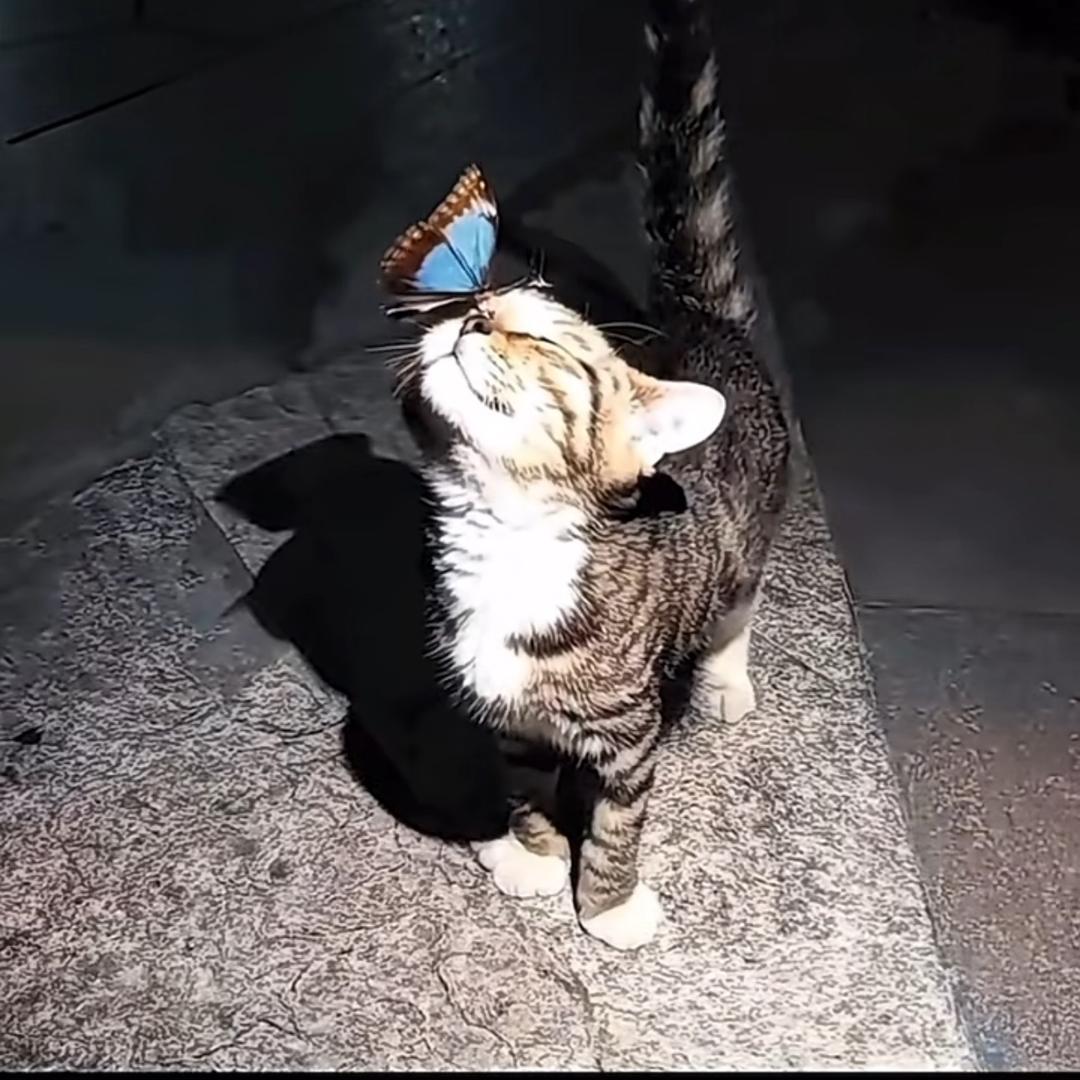 小盆友_
