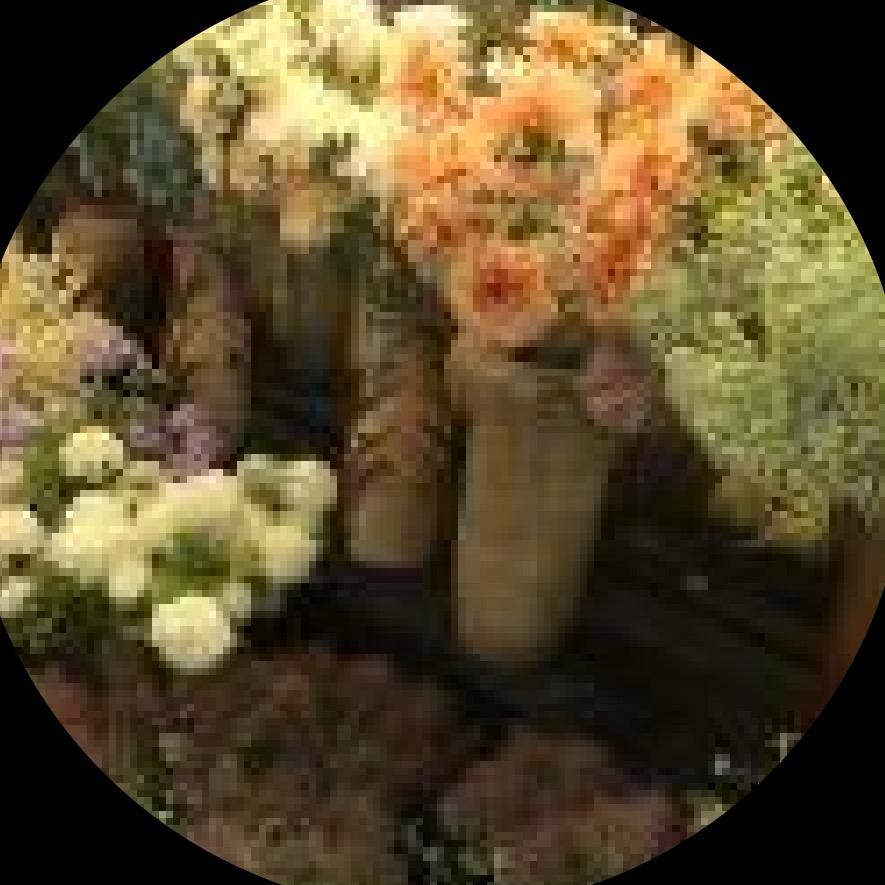 xh羽泽婚礼堂设计啊羽