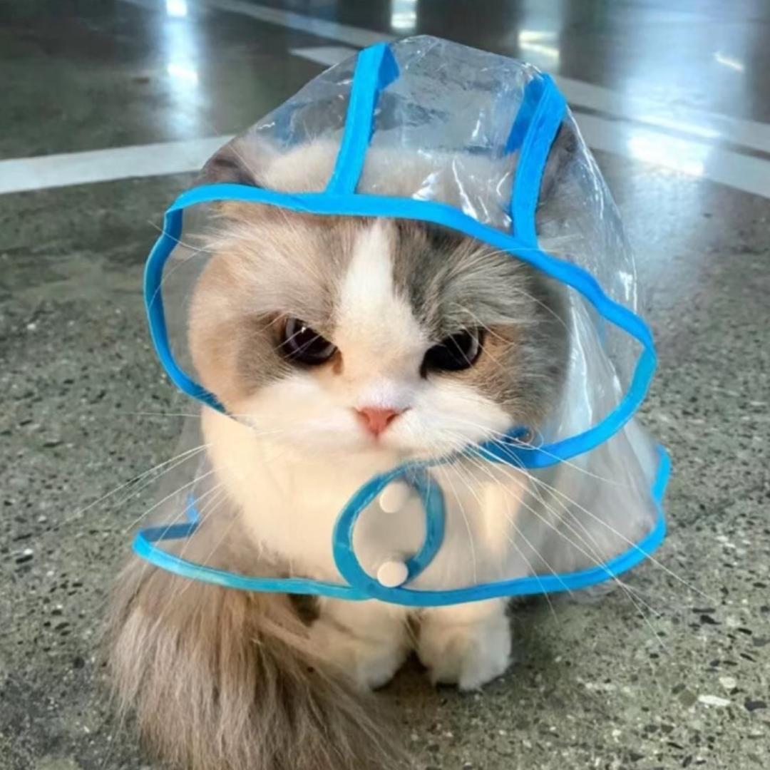 𝘼𝙄𝙤𝙣𝙚