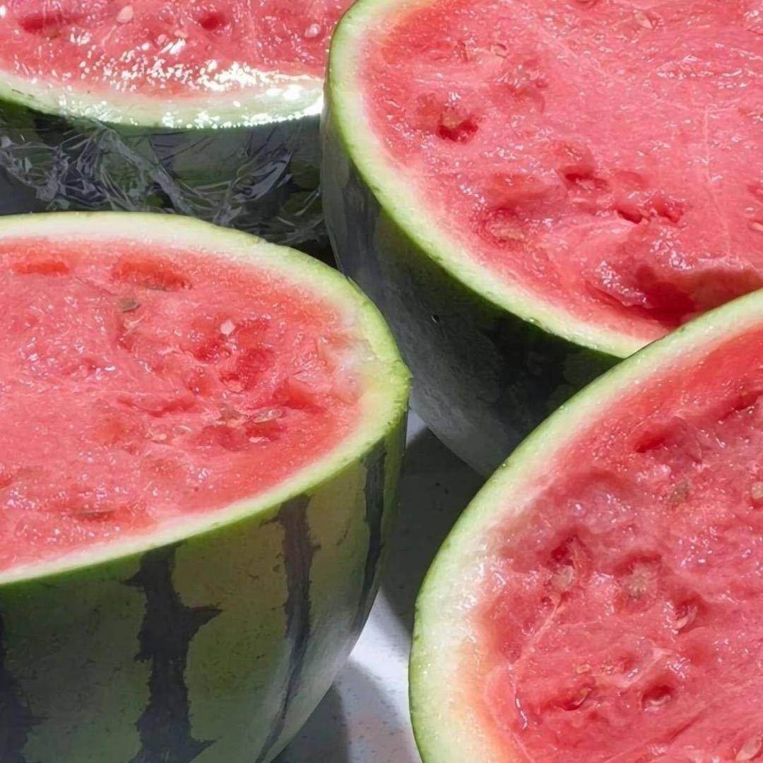 🍉🍉