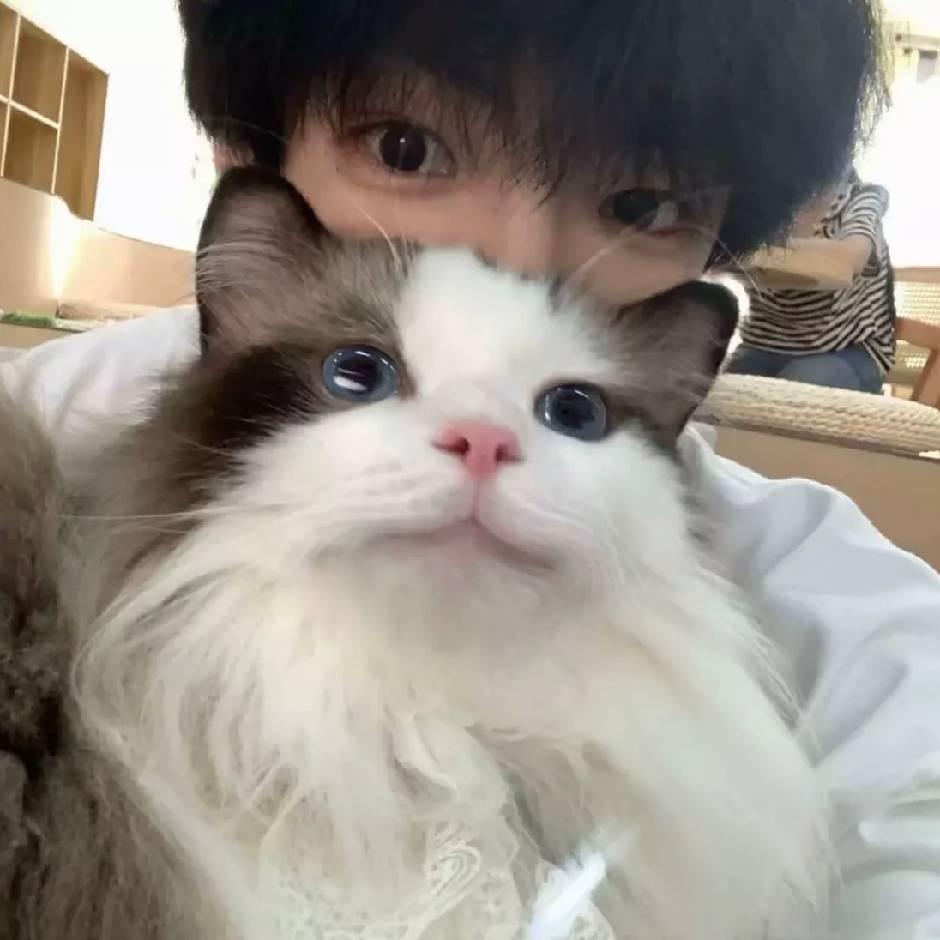 歌中有体