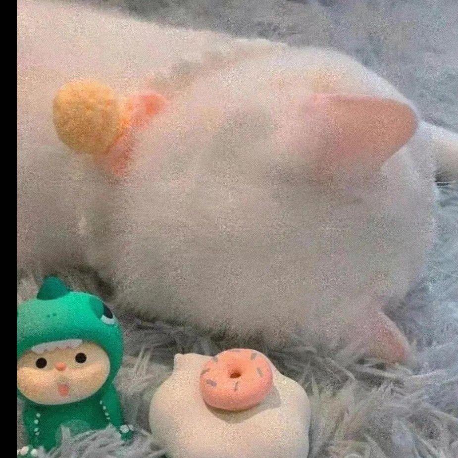 年糕