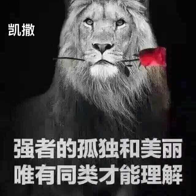 众合外贸-大连