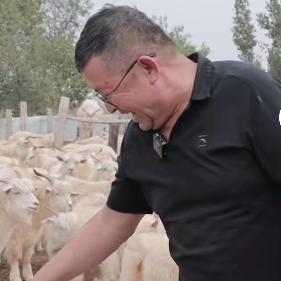 内蒙古真涮美食品有限公司