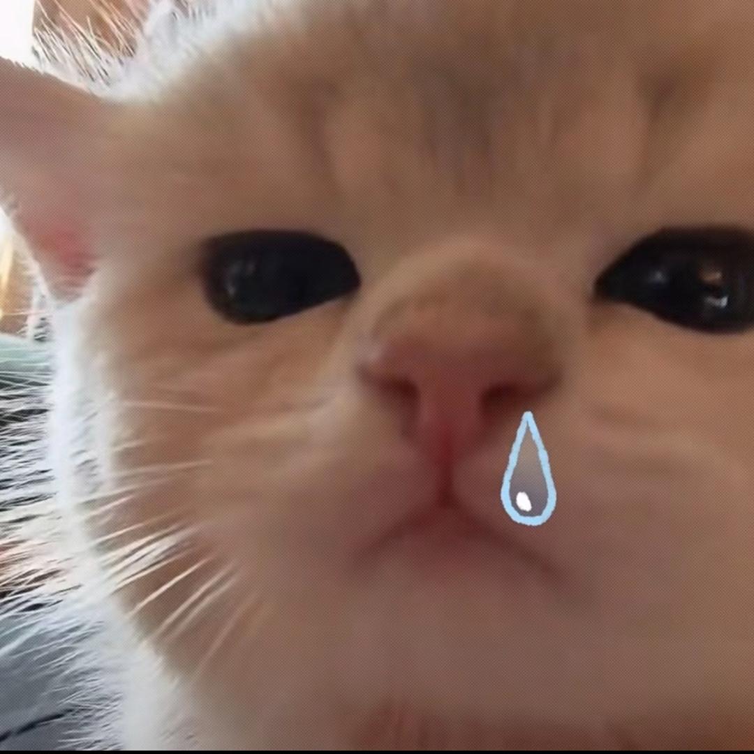 caT^T