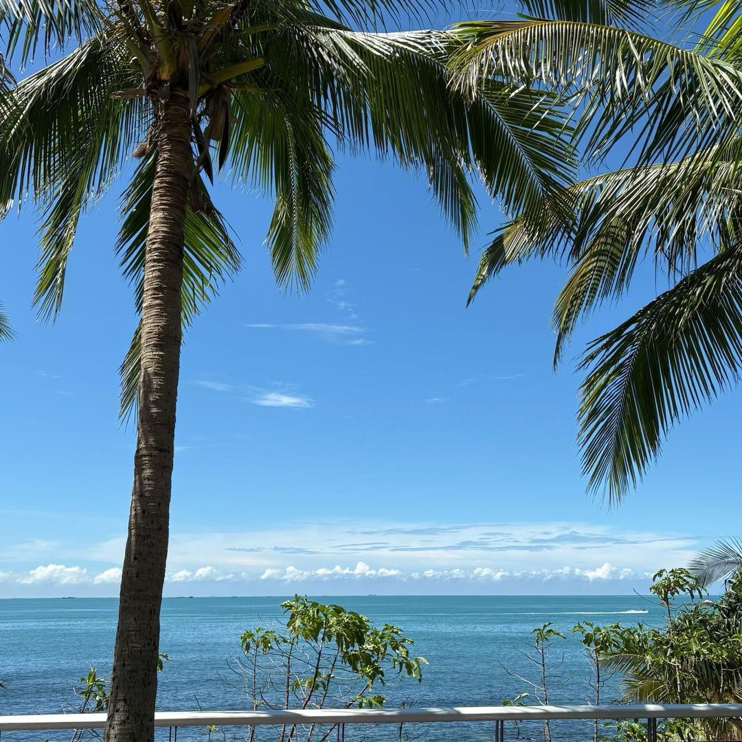 天涯海角椰林雅集