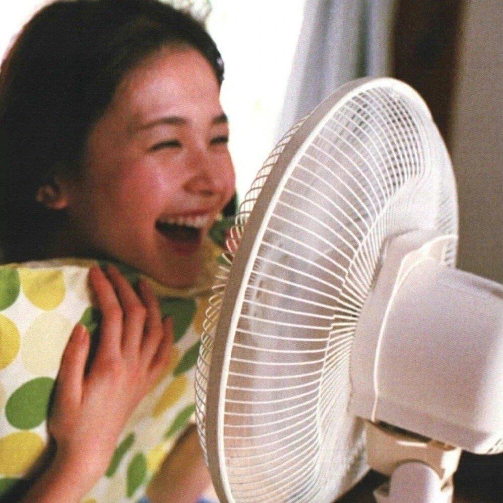 收起我的小杜杜