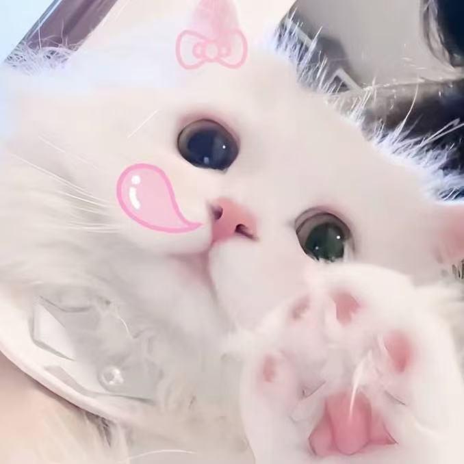 麻酱💕