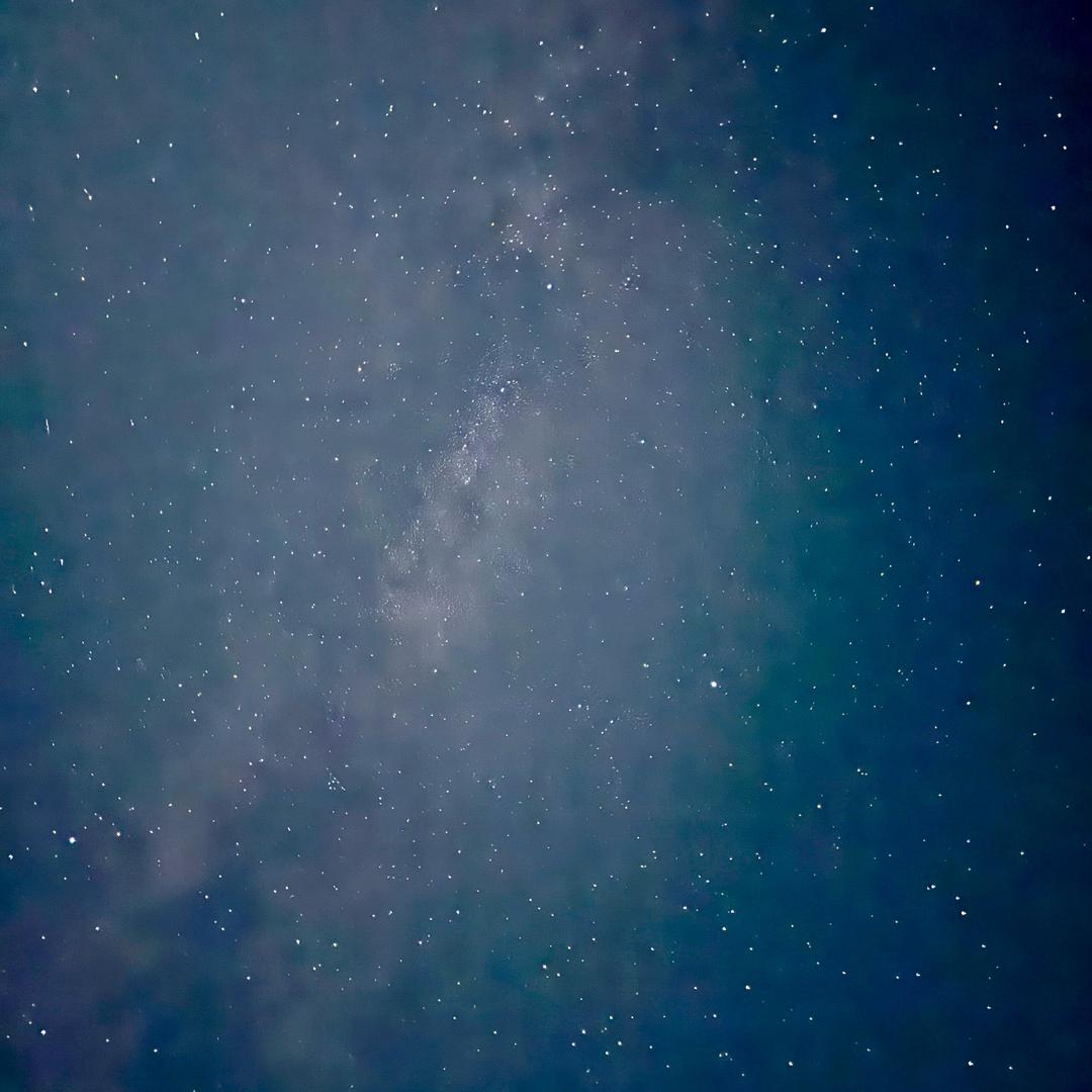 M.Z