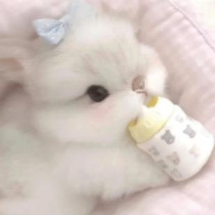 贝儿🦢
