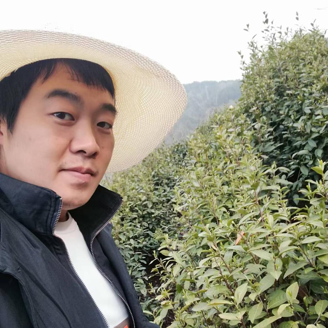 小茶馆里的岐大拿