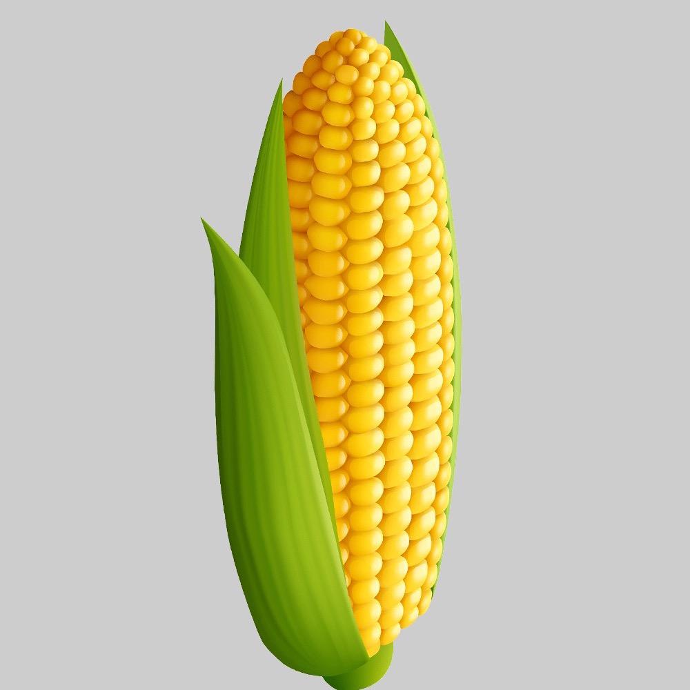 修水县剑伢农庄