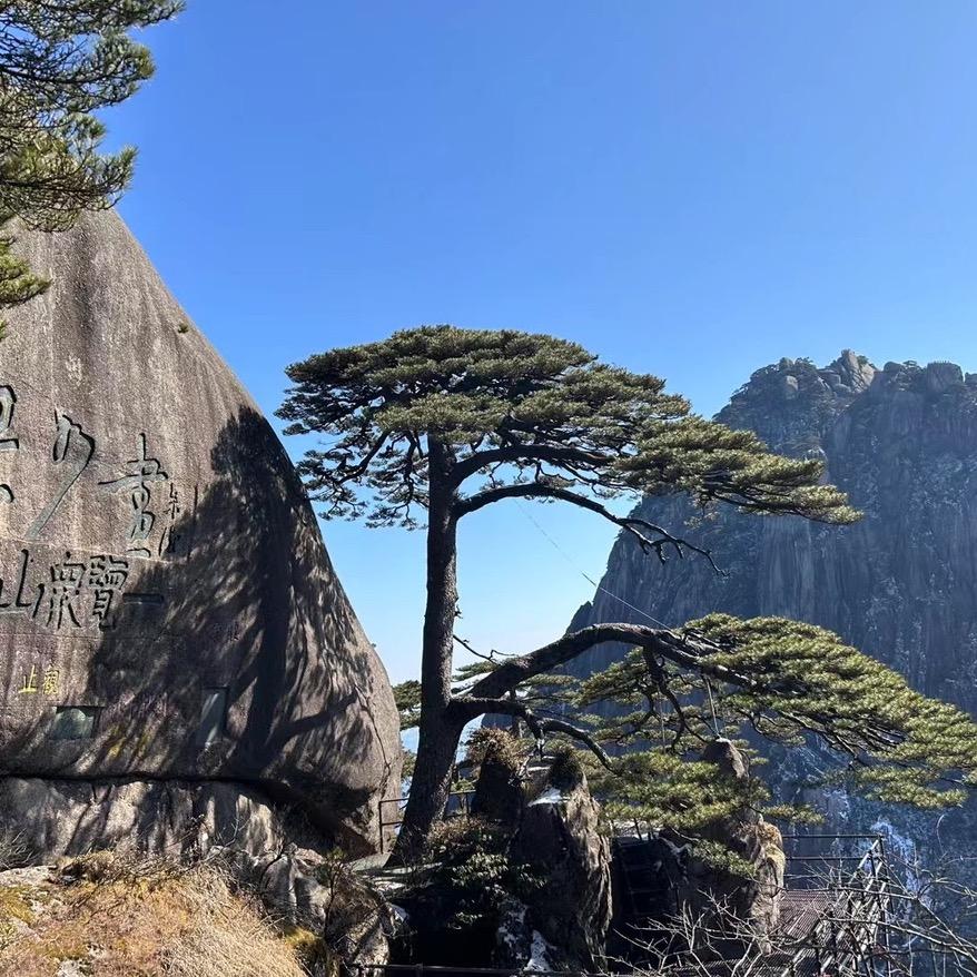 山东三炮