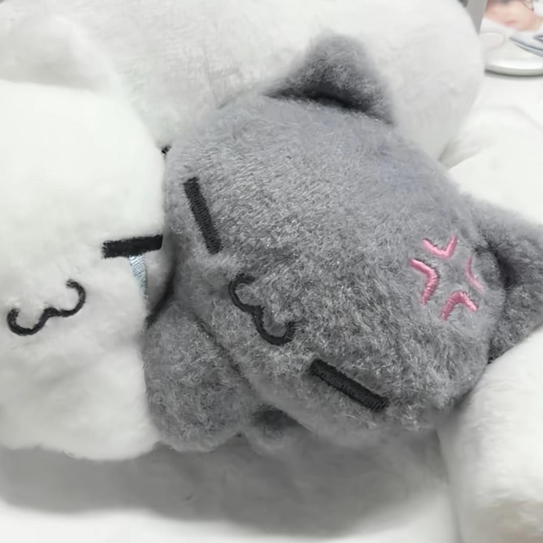 妍妍控