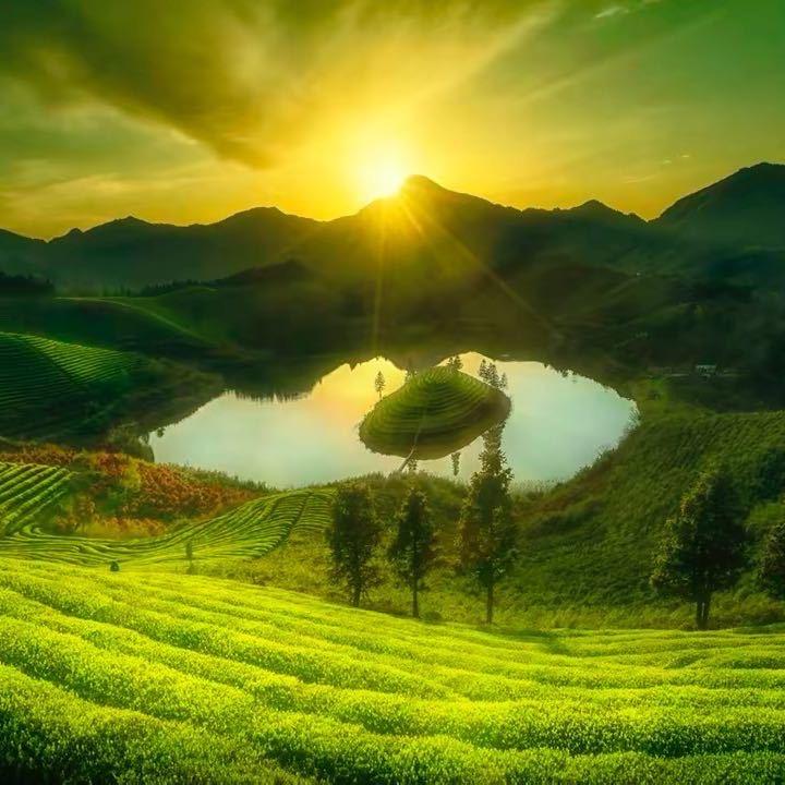 平平淡淡才是真