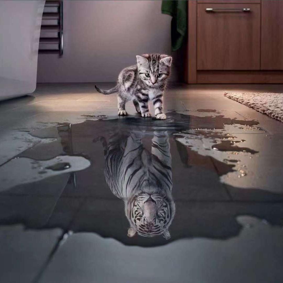 狸小喵和猫小橘