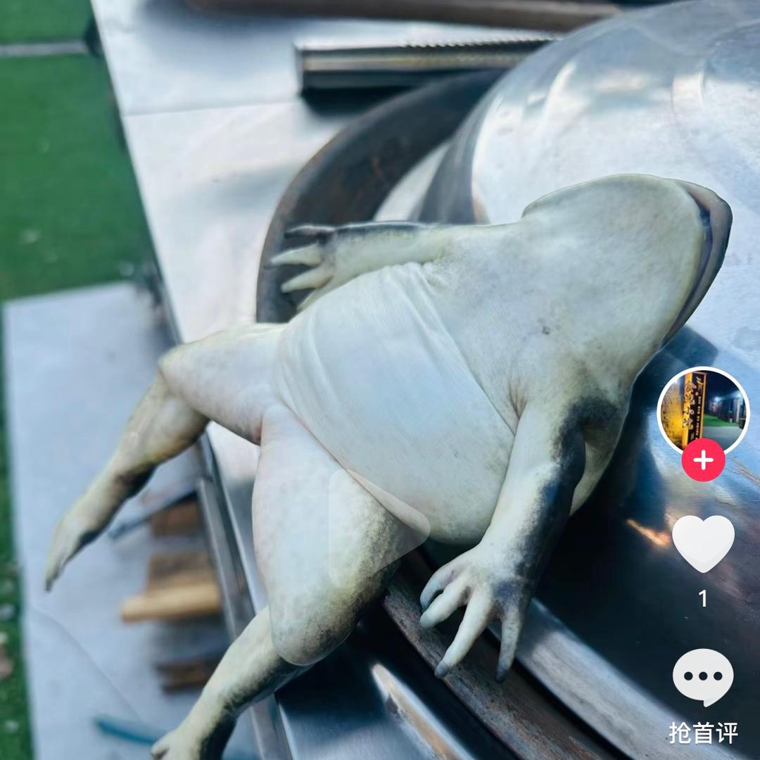 吴晓生商行(海甸五西路安置小区北区店)蕊娱直播号