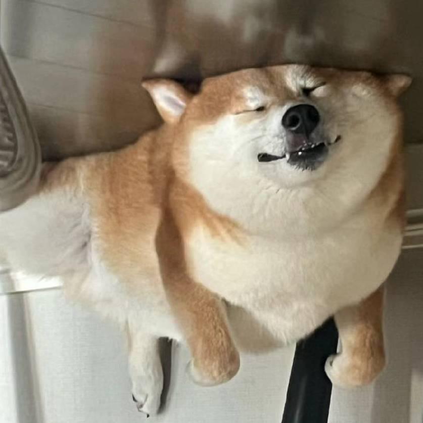 逐风去