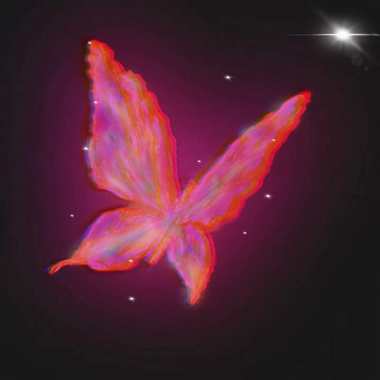 小蝴蝶爱养花