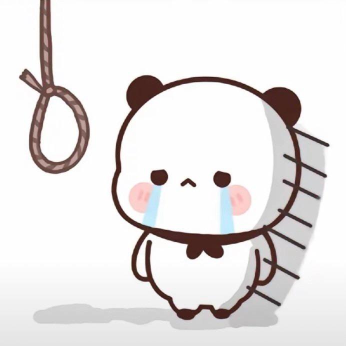 小新y