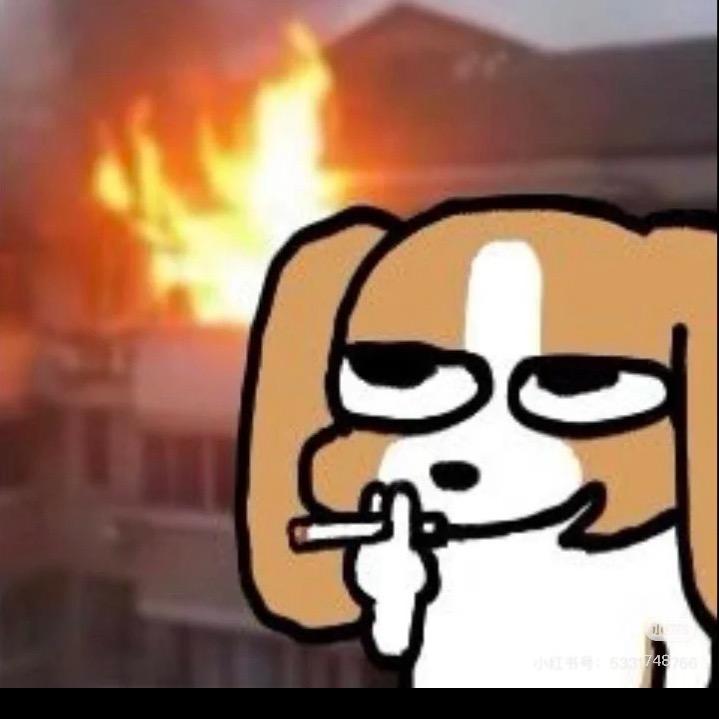 实在不行养边牧吧