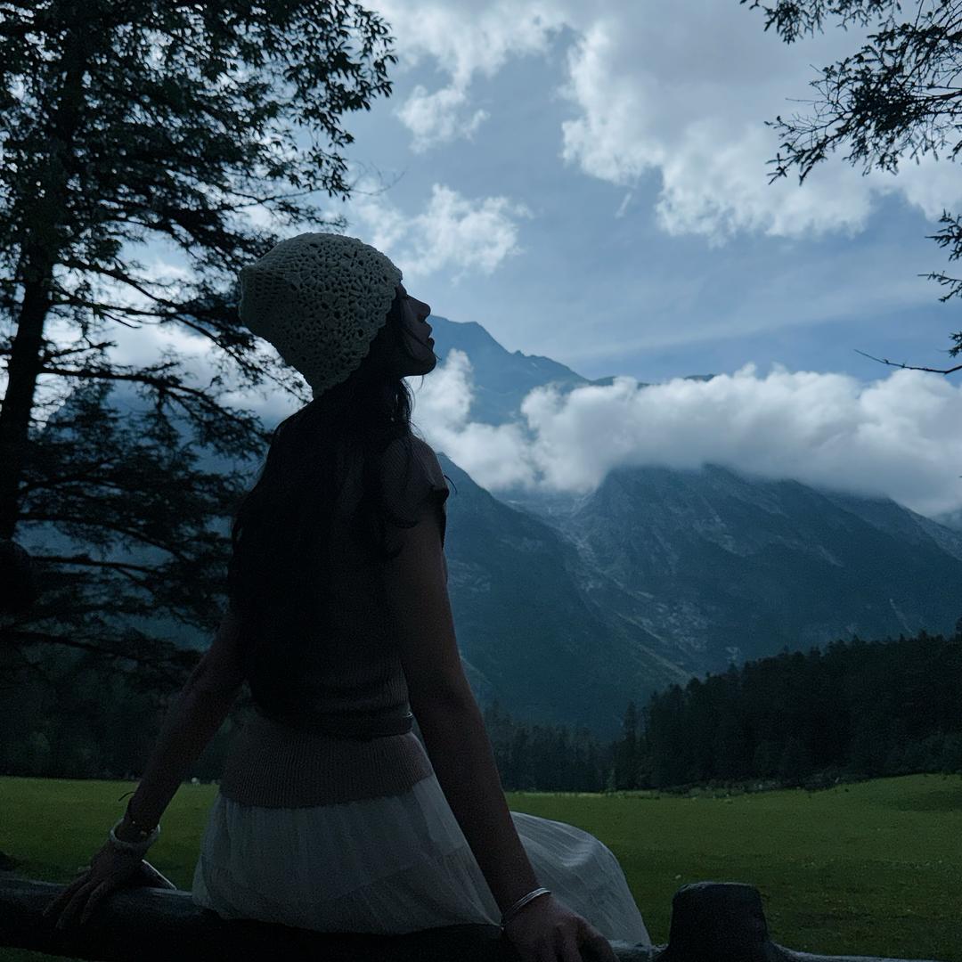 好柿会花生🥜.