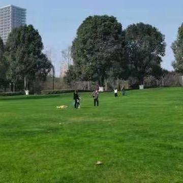 默默头像