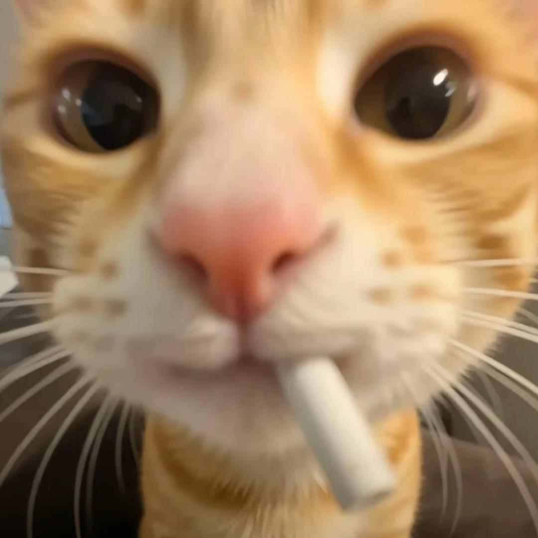 薯条要呆呆得吃
