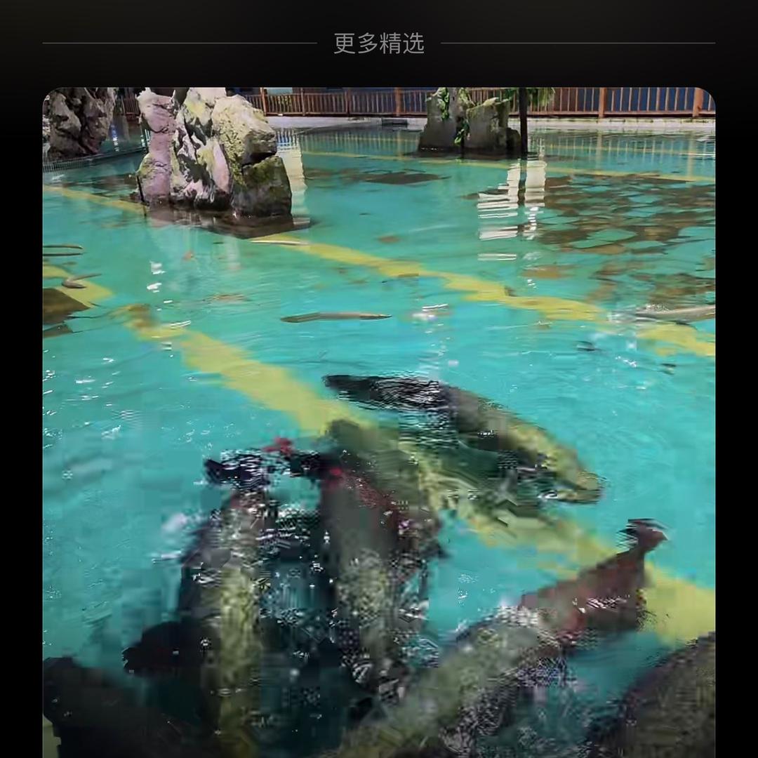 更多