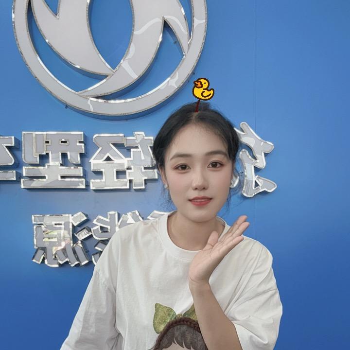 新能源货车-佳佳