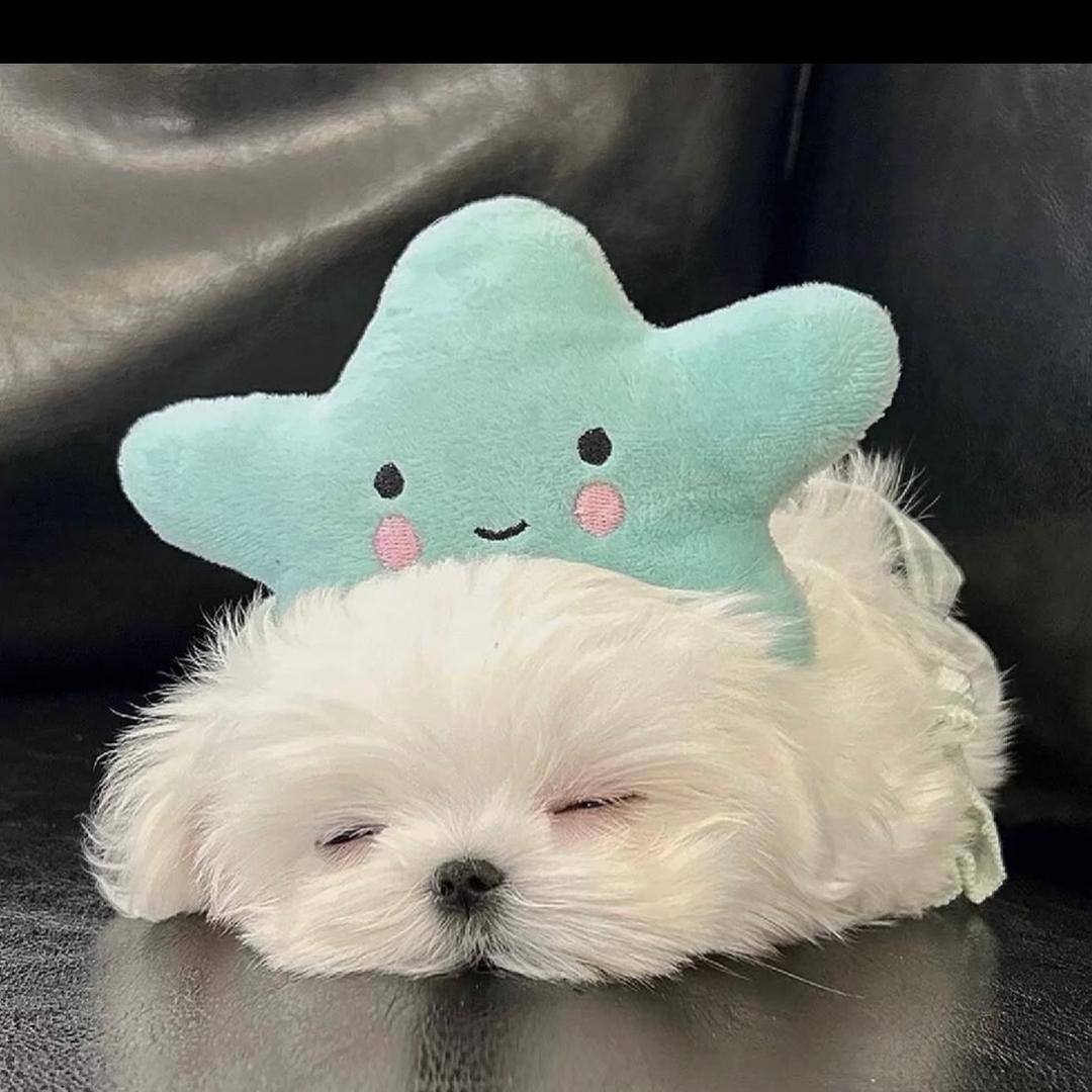 就我爱吃榴莲嘛