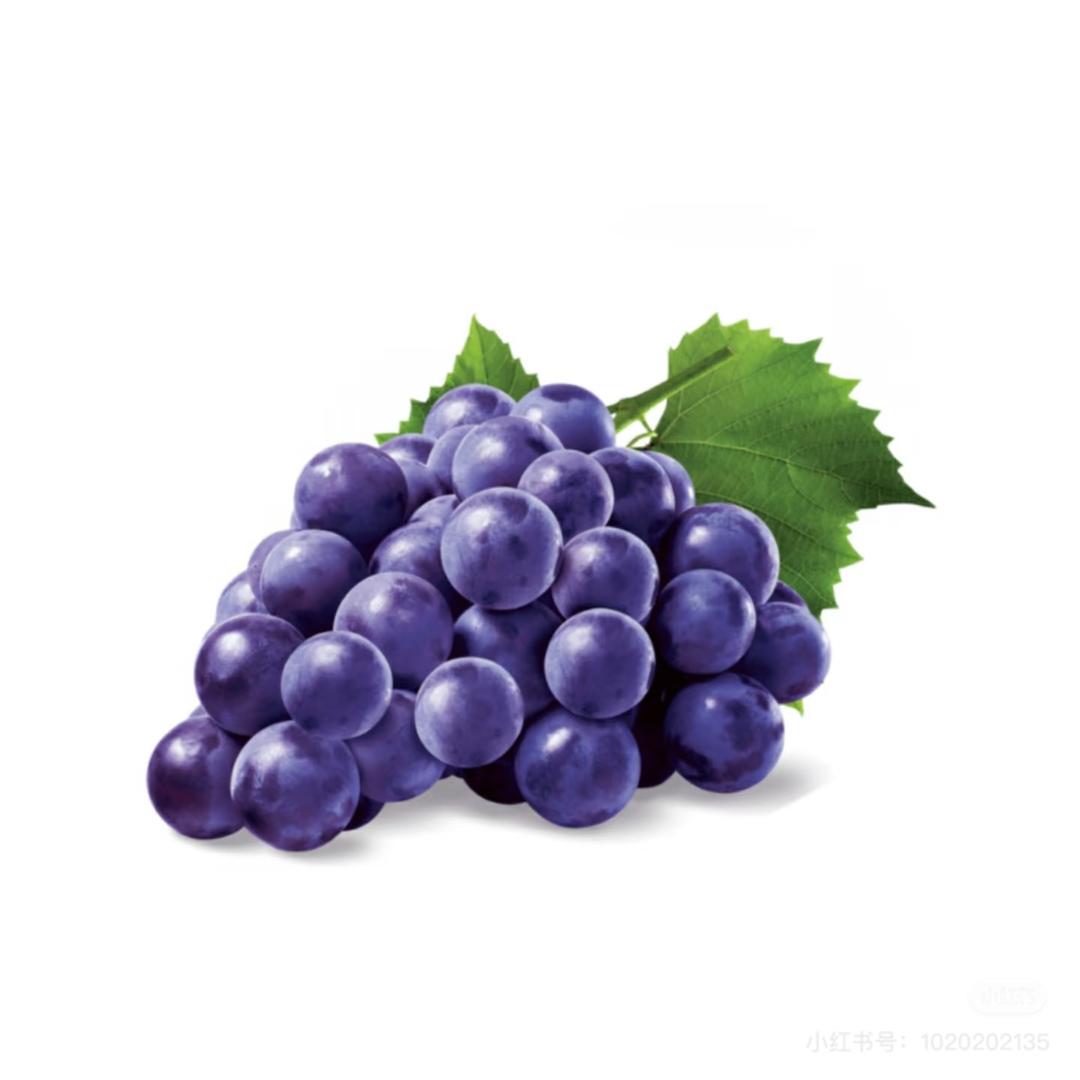 🍇葡萄🧊