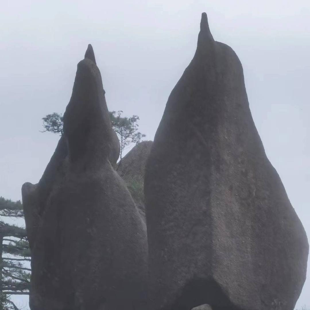 光享答舒