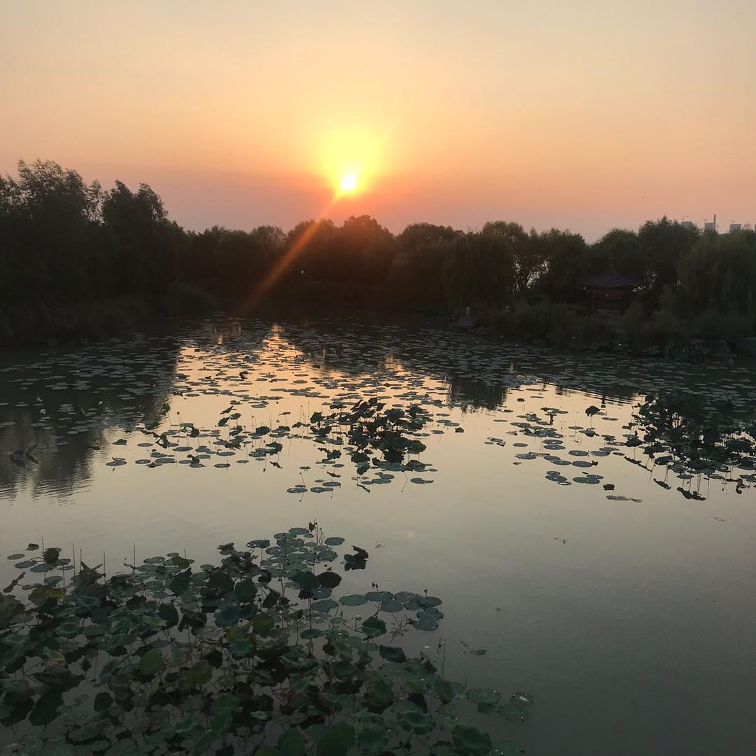 佛缘居