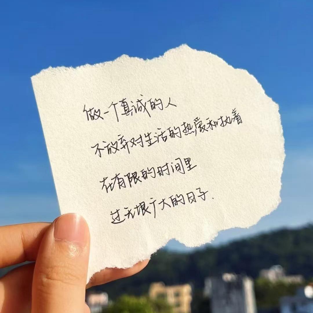 网茗焦点