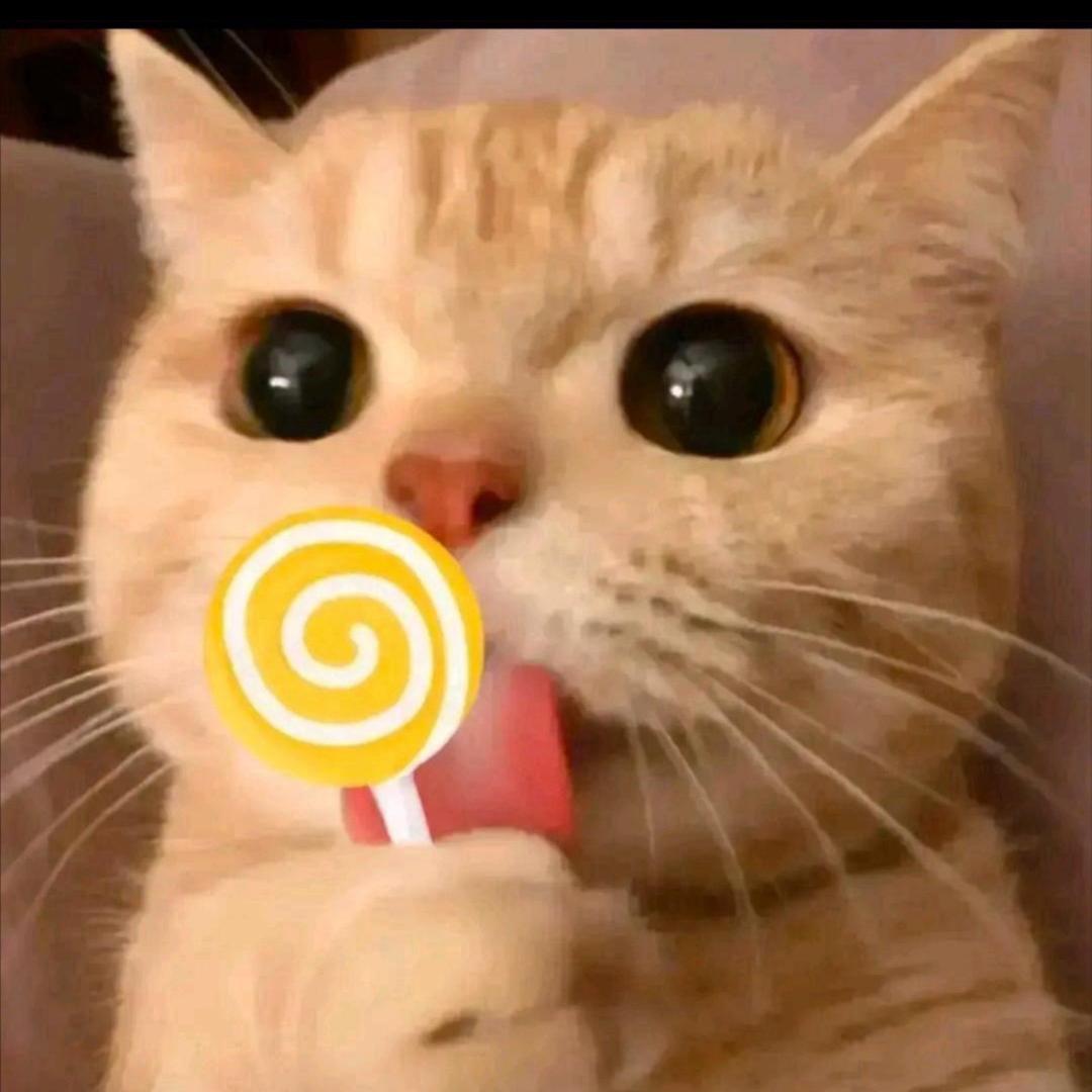 Yyy